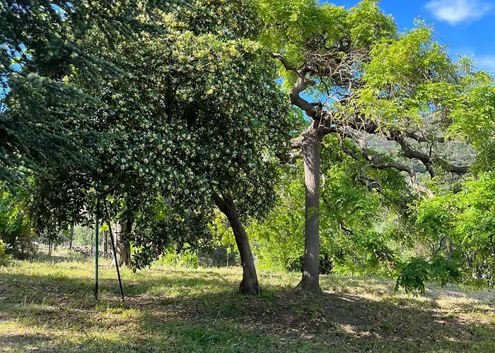 Bel Au Calme Santa-Reparata-di-Balagna